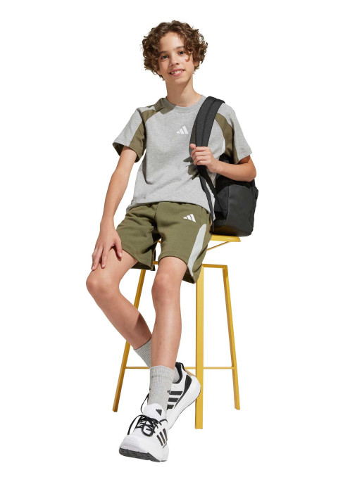 ADIDAS SPORTSWEAR Seasonal Essentials Colorblock T-Shirt