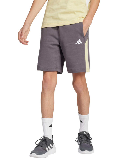 ADIDAS SPORTSWEAR Seasonal Essentials Colorblock Shorts
