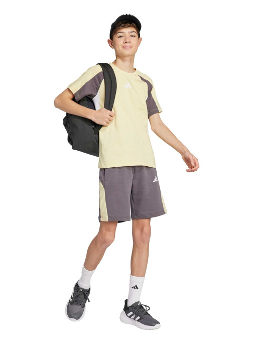 ADIDAS SPORTSWEAR Seasonal Essentials Colorblock Shorts