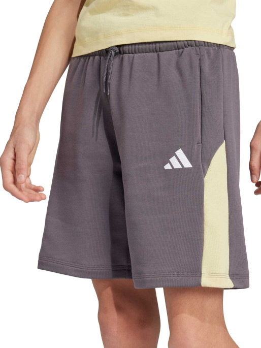 ADIDAS SPORTSWEAR Seasonal Essentials Colorblock Shorts