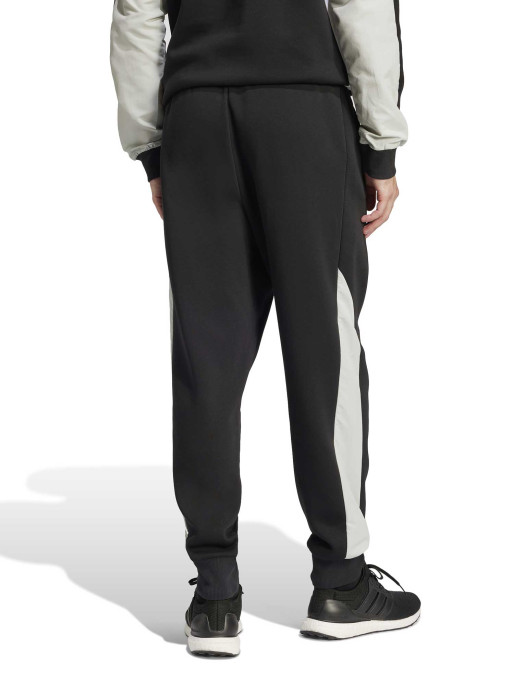 ADIDAS SPORTSWEAR Αθλητικό Παντελόνι Seasonal Essentials Colorblock