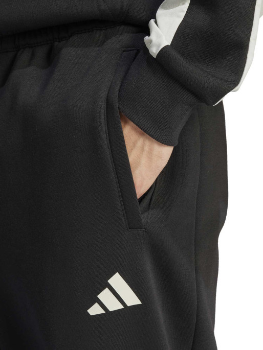 ADIDAS SPORTSWEAR Αθλητικό Παντελόνι Seasonal Essentials Colorblock