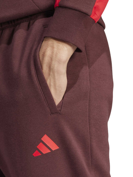 ADIDAS SPORTSWEAR Seasonal Essentials Colorblock Pants