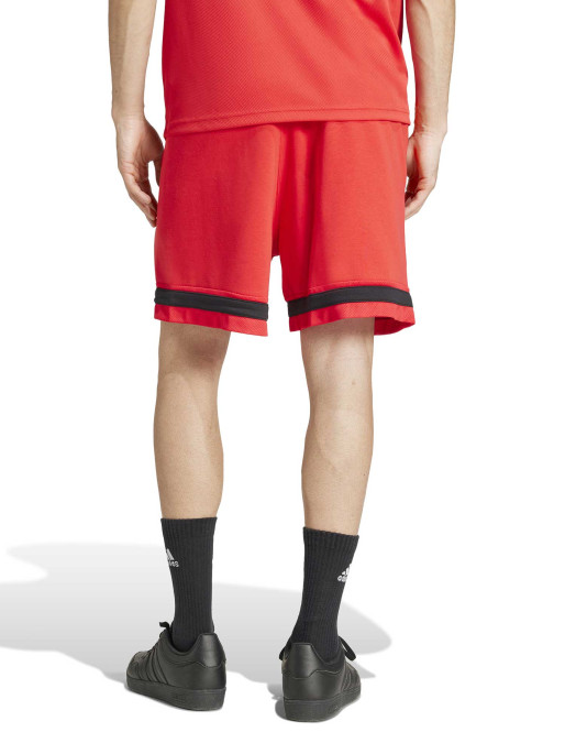 ADIDAS SPORTSWEAR Men's Seasonal Essentials Sport Shorts