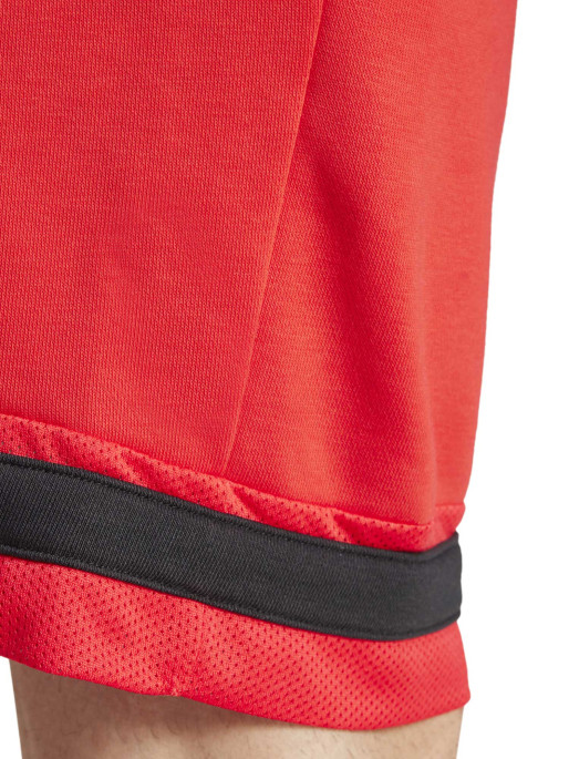 ADIDAS SPORTSWEAR Men's Seasonal Essentials Sport Shorts