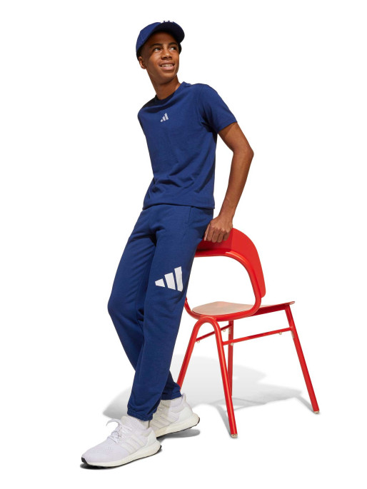 ADIDAS SPORTSWEAR Pantaloni sport Essentials Kids