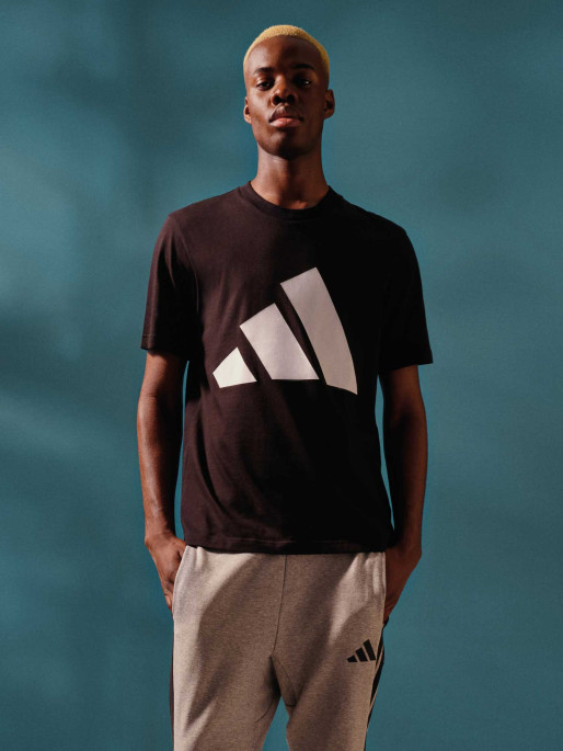 ADIDAS SPORTSWEAR Tricou Essentials Big Logo