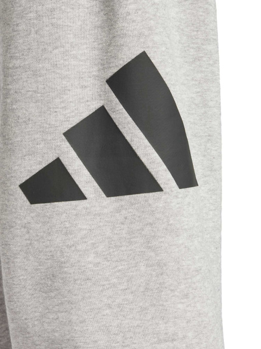 ADIDAS SPORTSWEAR Αθλητικό Παντελόνι Essentials Big Logo French Terry
