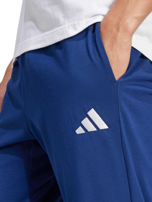 ADIDAS SPORTSWEAR Αθλητικό Παντελόνι Essentials Small Logo Single Jersey Pants