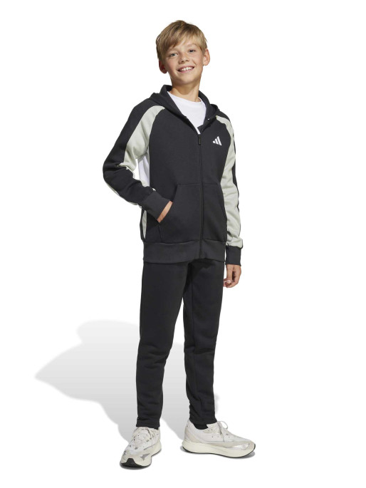 ADIDAS SPORTSWEAR Tracksuit Seasonal Essentials Colorblock