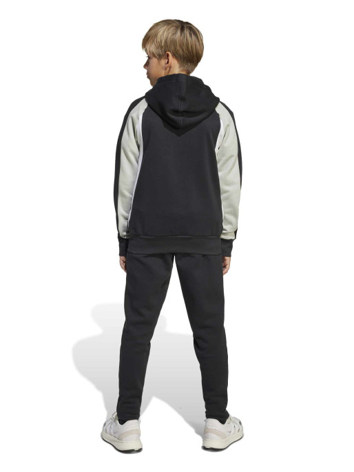 ADIDAS SPORTSWEAR Tracksuit Seasonal Essentials Colorblock