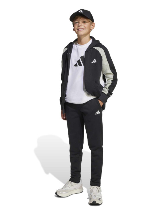 ADIDAS SPORTSWEAR Tracksuit Seasonal Essentials Colorblock