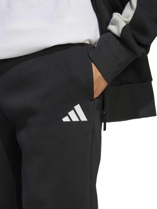 ADIDAS SPORTSWEAR Tracksuit Seasonal Essentials Colorblock