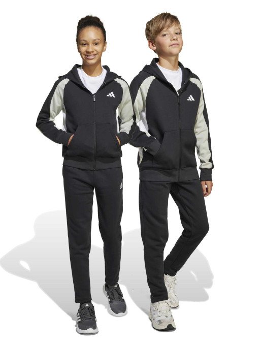 ADIDAS SPORTSWEAR Tracksuit Seasonal Essentials Colorblock