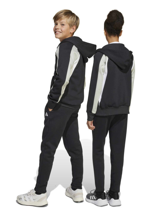 ADIDAS SPORTSWEAR Tracksuit Seasonal Essentials Colorblock