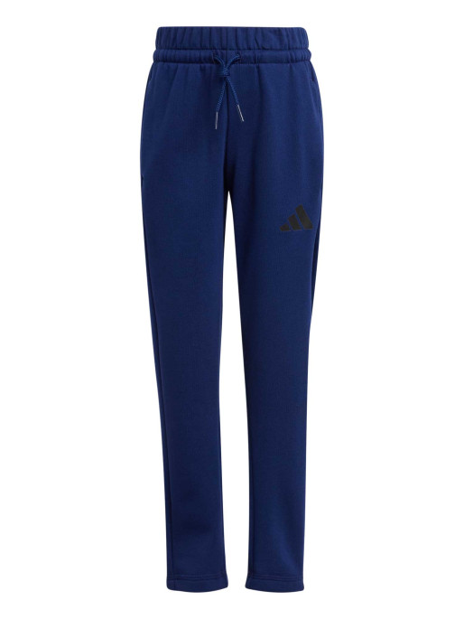 ADIDAS SPORTSWEAR Trening Seasonal Essentials Fun