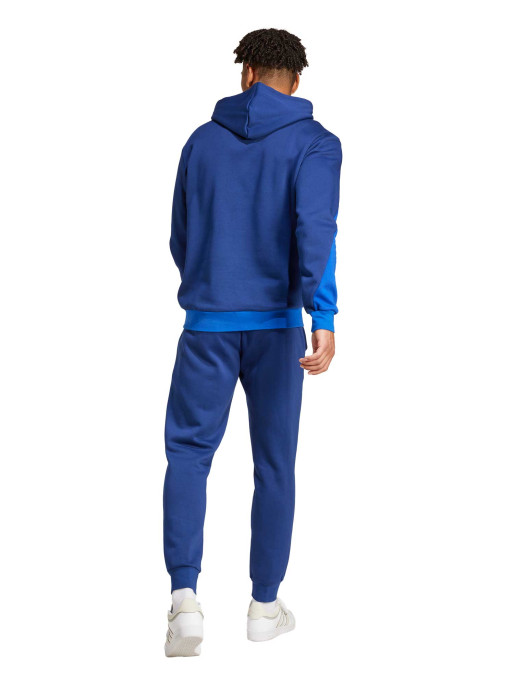 ADIDAS SPORTSWEAR Sportswear Fleece Colorblock Hooded