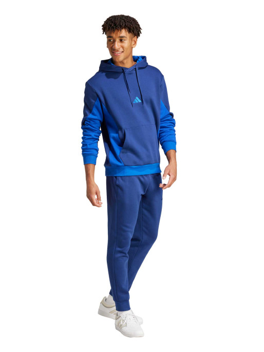 ADIDAS SPORTSWEAR Sportswear Fleece Colorblock Hooded