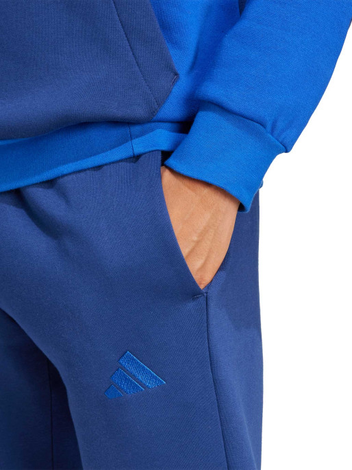 ADIDAS SPORTSWEAR Sportswear Fleece Colorblock Hooded