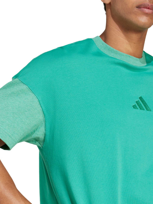 ADIDAS SPORTSWEAR ALL SZN Colorblock T-Shirt