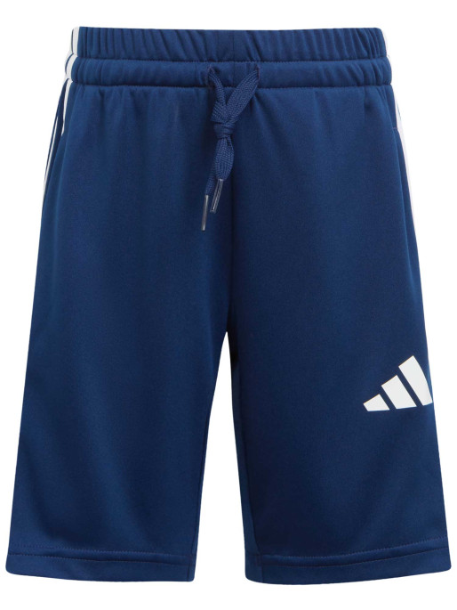 ADIDAS SPORTSWEAR Trening Train Essentials Fun Print Sports