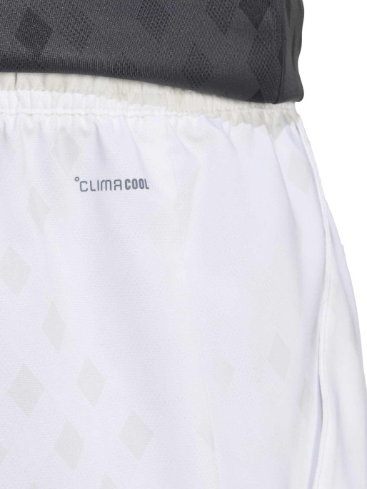 ADIDAS PERFORMANCE Shorts Club Tennis Climacool Graphic