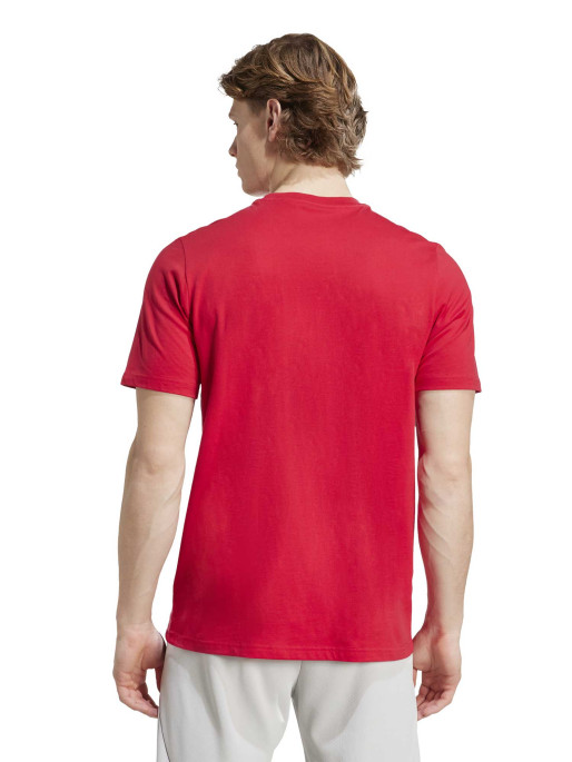 ADIDAS PERFORMANCE Ajax Amsterdam Seasonal Graphic T-Shirt