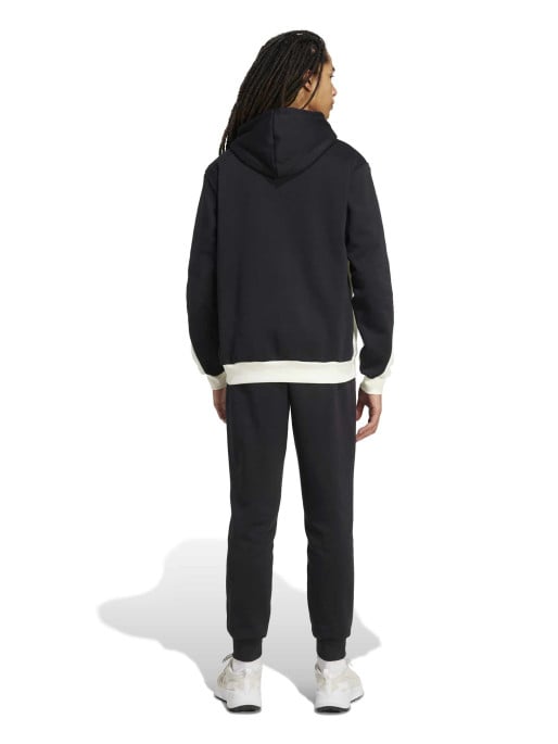 ADIDAS SPORTSWEAR Αθλητικό Σετ Sportswear Fleece Colorblock Hooded