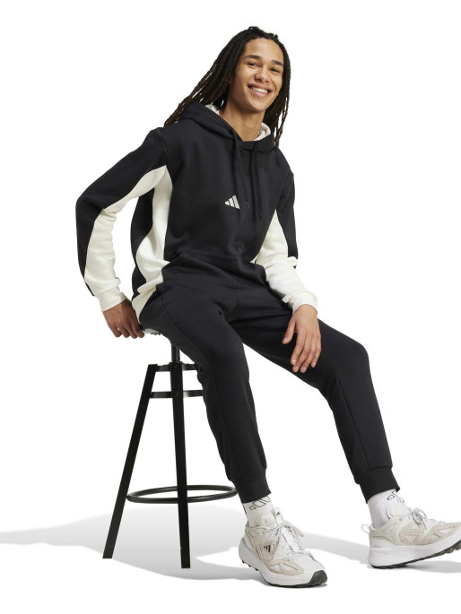 ADIDAS SPORTSWEAR Αθλητικό Σετ Sportswear Fleece Colorblock Hooded