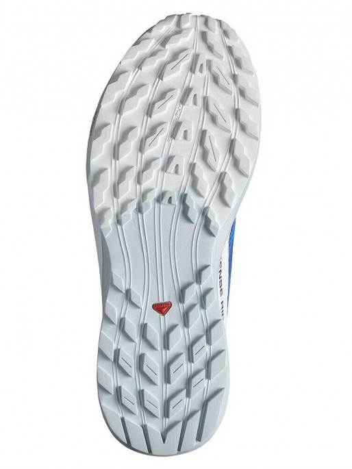 SALOMON Παπούτσια SENSE RIDE 5