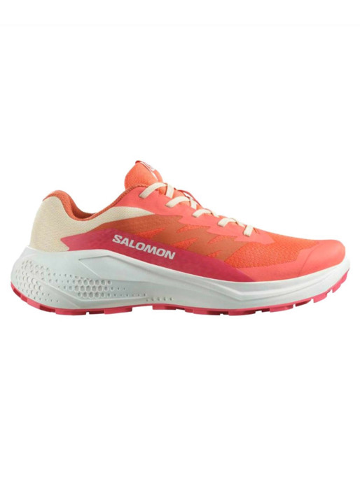 SALOMON Incaltaminte Alphaglide W