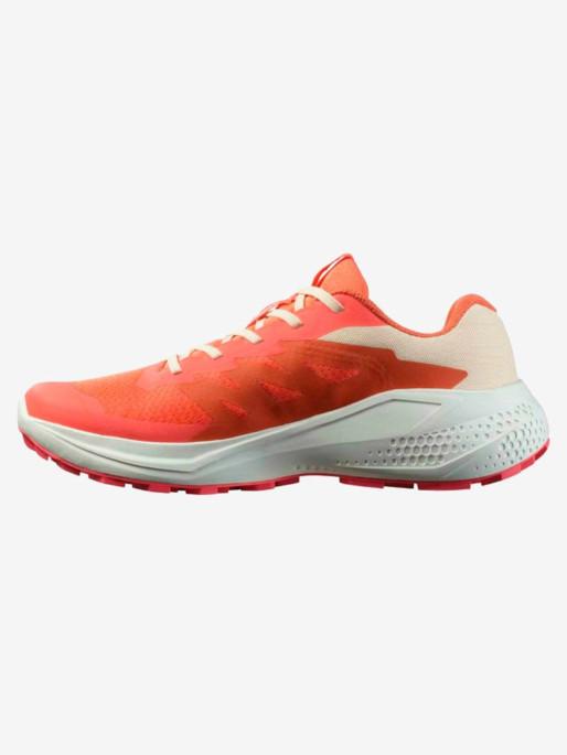SALOMON Incaltaminte Alphaglide W