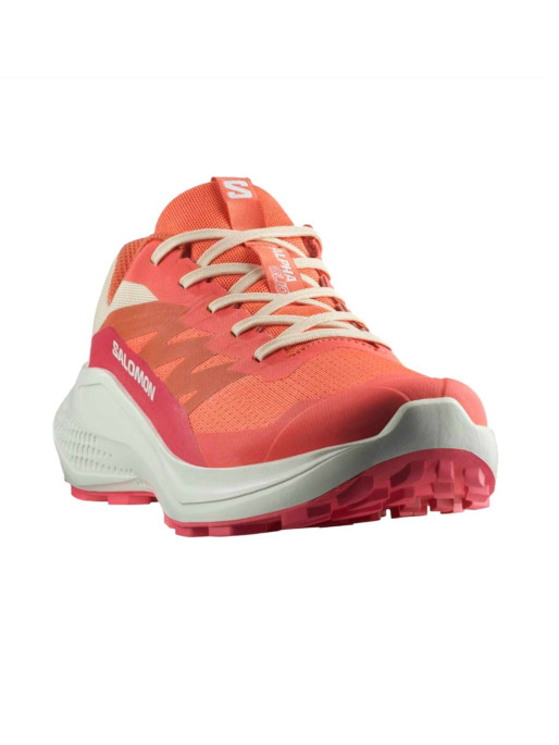 SALOMON Incaltaminte Alphaglide W