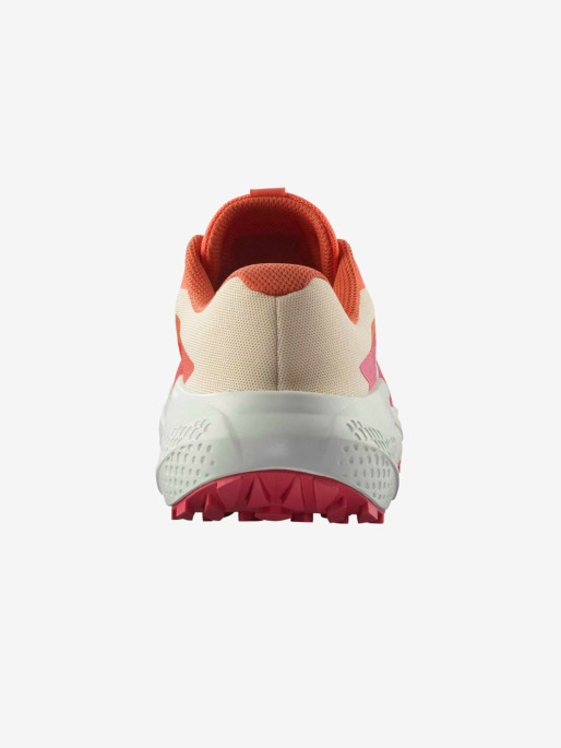 SALOMON Incaltaminte Alphaglide W