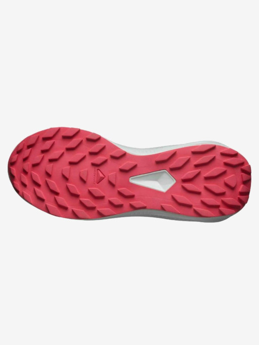 SALOMON Incaltaminte Alphaglide W