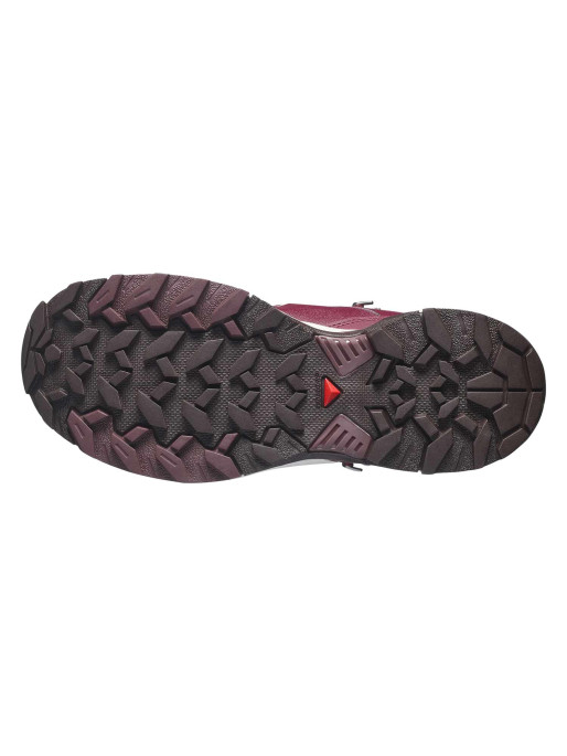 SALOMON