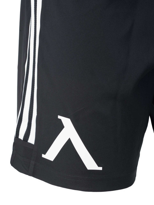 LEVSKI ЛЕВСКИ Match Shorts black