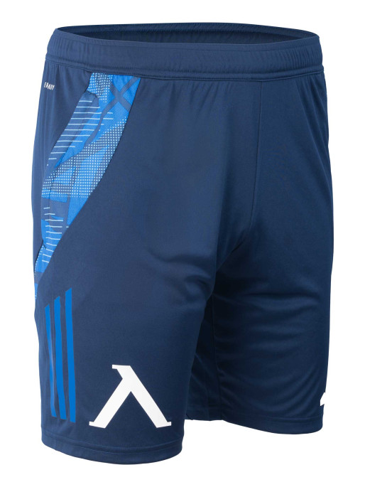 LEVSKI ЛЕВСКИ Къси панталони Competition