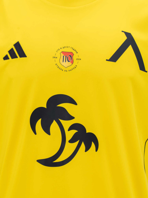 LEVSKI Резервна фланелка ЛЕВСКИ сезон 24/25