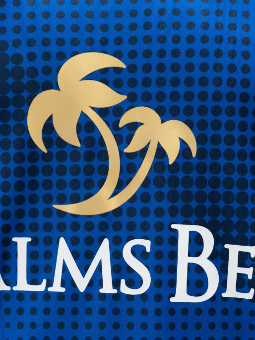 LEVSKI Levski Home Blue Jersey 25/26