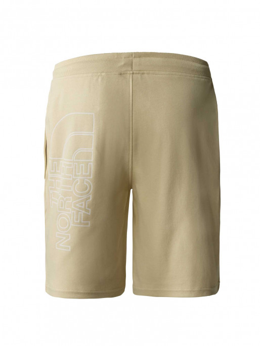 THE NORTH FACE SHORT M GRAPHIC LIGT