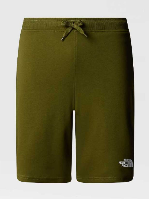 THE NORTH FACE M GRAPHIC SHORTS LIGHT-EU
