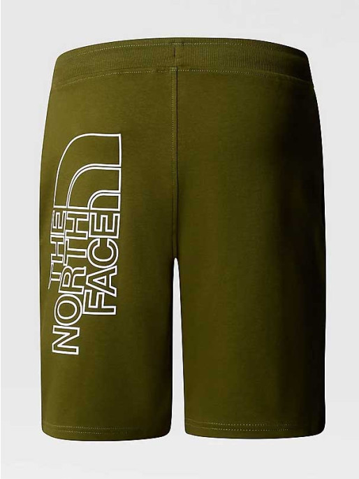 THE NORTH FACE M GRAPHIC SHORTS LIGHT-EU