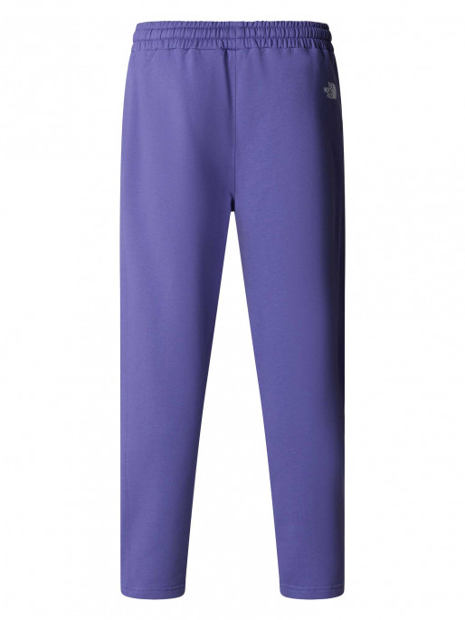 THE NORTH FACE Αθλητικό Παντελόνι M STANDARD