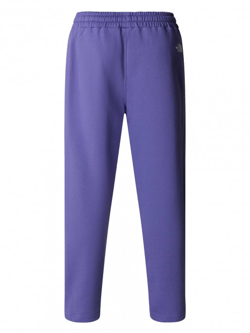 THE NORTH FACE Αθλητικό Παντελόνι M STANDARD