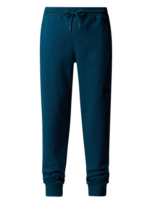 THE NORTH FACE M NSE PANTS