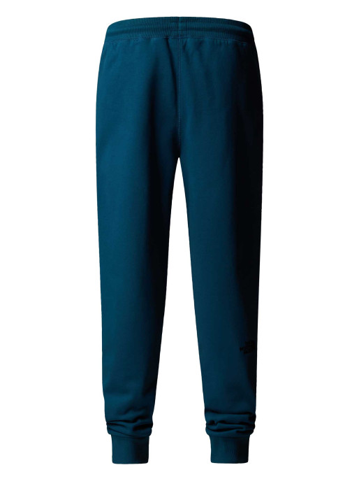 THE NORTH FACE M NSE PANTS