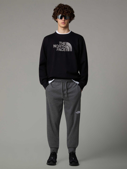 THE NORTH FACE Αθλητικό Παντελόνι M NSE