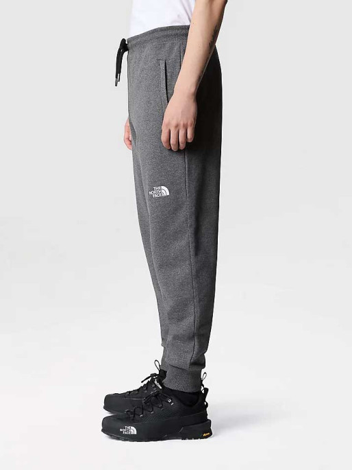 THE NORTH FACE Αθλητικό Παντελόνι M NSE LIGHT