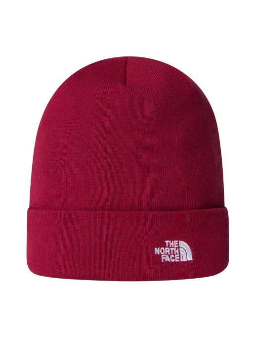 THE NORTH FACE Fes Norm